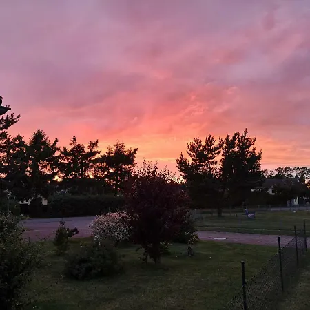 La - * 브레세위츠